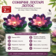 Декоративні плаваючі ліхтарі «Лотос» на сонячній батареї (комплект 2 шт.)