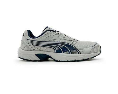 Чоловічі кросівки Puma Axis Ash Grey Navy 368465-19