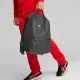 Рюкзак Puma Scuderia Ferrari SPTWR Style Backpack 079569-01