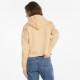 Худі Puma Essentials + Metallic Logo Cropped Hoodie 586891-27