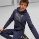 Худі Puma Essentials+ Logo Lab Hoodie 675924-06