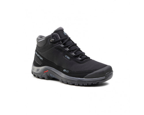 Чоловічі черевики Salomon Shelter CS WP 411104