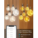 Лампа Aigostar Alexa Vintage Filament Connected, E27 G80 6W Smart