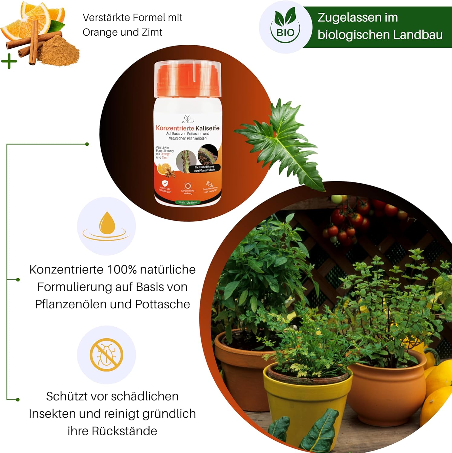 Висококонцентроване калійне мило GebEarth захищає рослини від попелиці, кліщів та щитівок